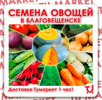 СЕМЕНА ОВОЩЕЙ В БЛАГОВЕЩЕНСКЕ